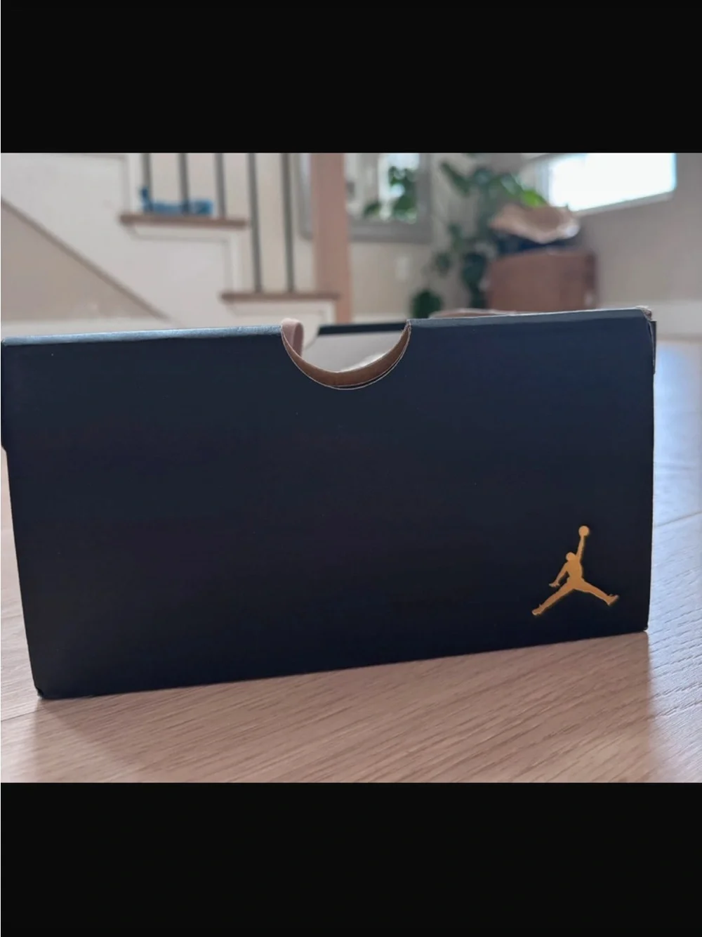 Jordan dessert camo